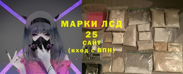 молекула духа Переславль-Залесский