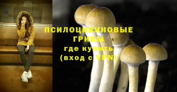 ешки Пересвет
