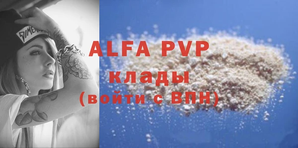 молекула духа Переславль-Залесский