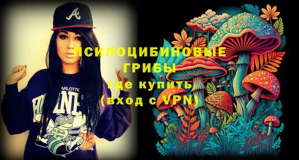 ешки Пересвет
