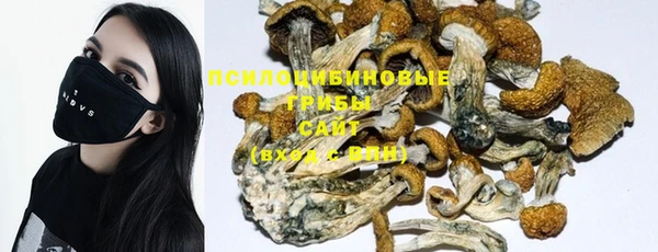 ешки Пересвет